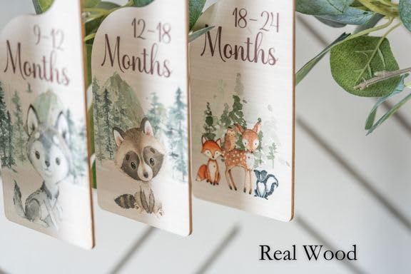 Baby Closet Dividers | Woodland Nursery Decor Closet Dividers for Baby Clothes | Hanging Wooden Baby Clothes Dividers for Closet | NB - 24 Month Baby Closet Size Dividers