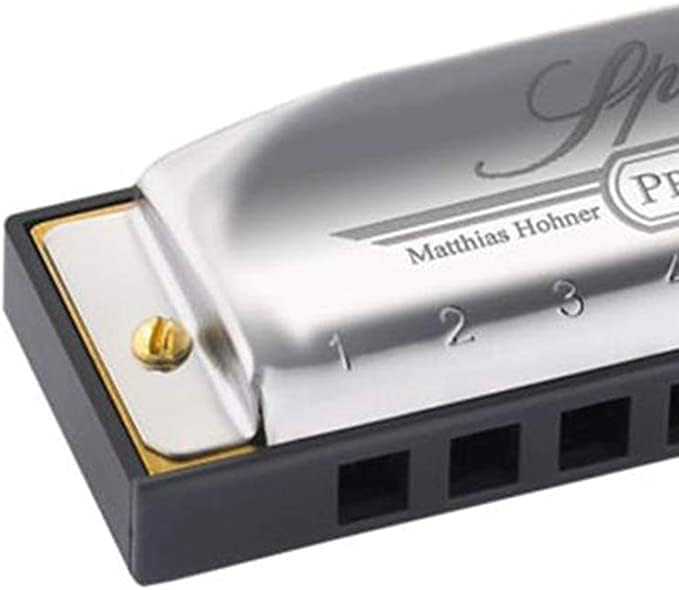 Hohner Special 20 Harmonica - Key of E Flat Bundle with Carrying Case, Pouch, Online Manual, and Austin Bazaar Polishing Cloth