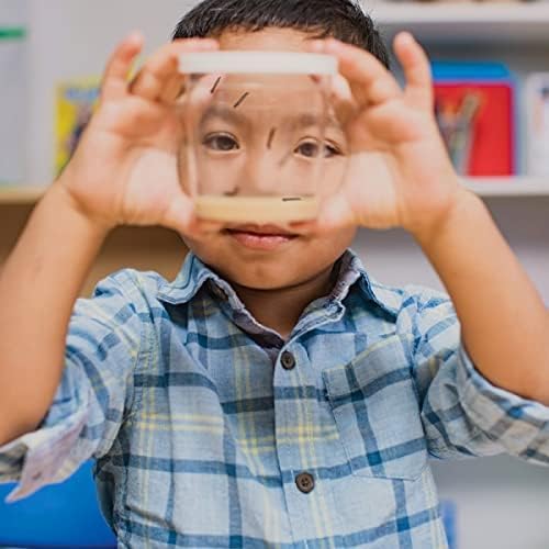 Insect Lore Two Cups of Live Caterpillars - 10 Live Painted Lady Caterpillars with Food - Includes Bonus Butterfly Life Cycle Figurines - Refill for Butterfly Garden Habitat