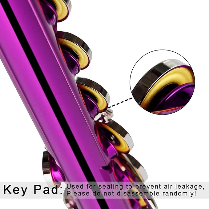 EASTROCK Closed Hole Flutes C 16 Key for Beginner, Kids, Student -Nickel Flute with Case Stand and Cleaning kit (Pink)