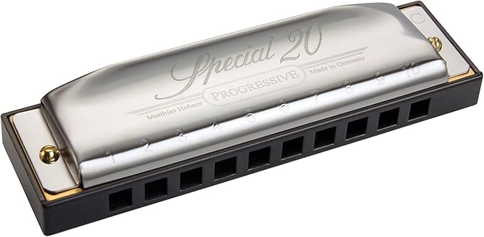 Hohner 560 Special 20 Harmonica - Key of D Bundle with Carrying Case, Key Stickers, Harmonica Beginner Online Manual, and Austin Bazaar Polishing Cloth