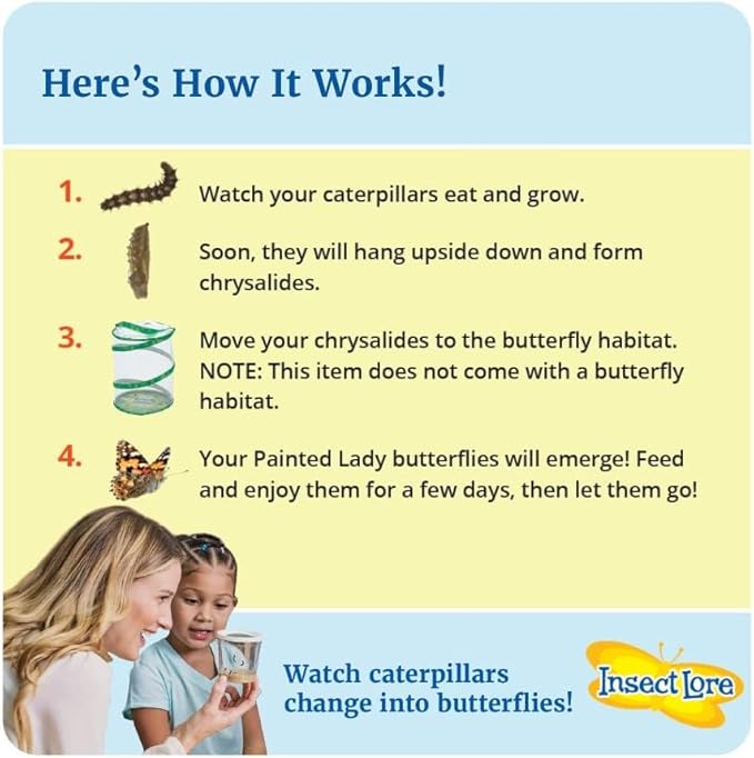 Insect Lore Two Cups of Live Caterpillars - 10 Live Painted Lady Caterpillars with Food - Includes Bonus Butterfly Life Cycle Figurines - Refill for Butterfly Garden Habitat