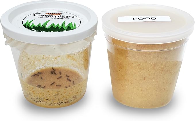 32 Live Caterpillars Shipped Now: Butterfly Kit Refill for School Sized Kit with Extra Larva Rearing Supplies and 32 Little Cups by Nature Gift Store