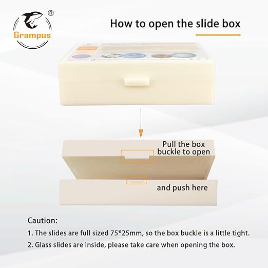 30 Prepared Microscope Slides with Specimens for Kids Students - Animals Plants Insects Microorganism, for Biological Science Lab, Children's Science Education, Homeschool