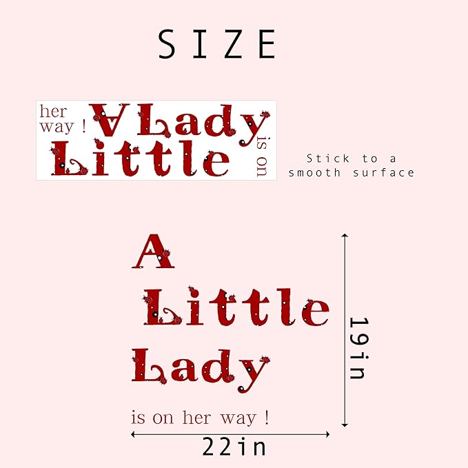 A Little Lady Is On Her Way Decal - Ladybug Party Decorations Supplies Wall Stickers, Girls Birthday/Baby Shower Party Decor Wall Decals, Balloon Arch Backdrop Decoration Ladybug Sign Stickers