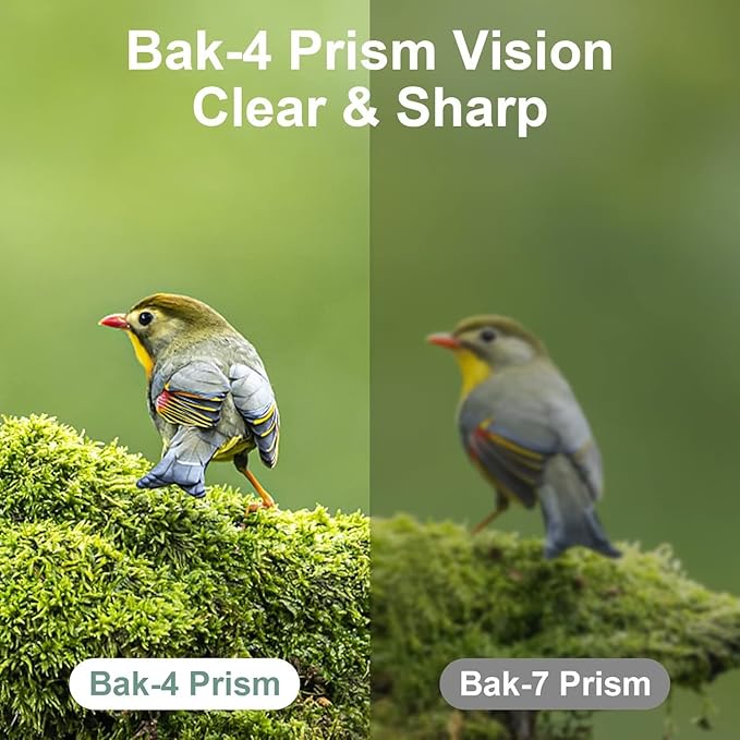 12X25 Mini Pocket Binoculars for Adults Kids, Small Compact Binoculars for Bird Watching, Opera Concert