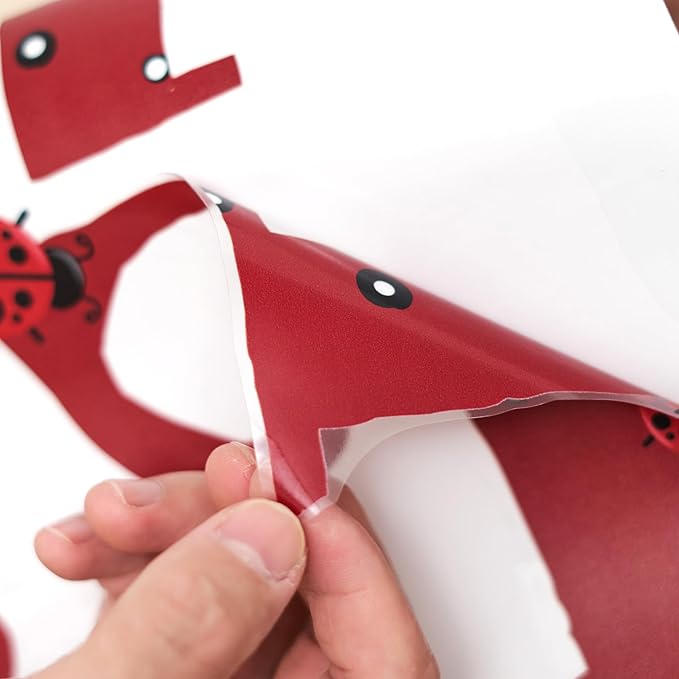 A Little Lady Is On Her Way Decal - Ladybug Party Decorations Supplies Wall Stickers, Girls Birthday/Baby Shower Party Decor Wall Decals, Balloon Arch Backdrop Decoration Ladybug Sign Stickers