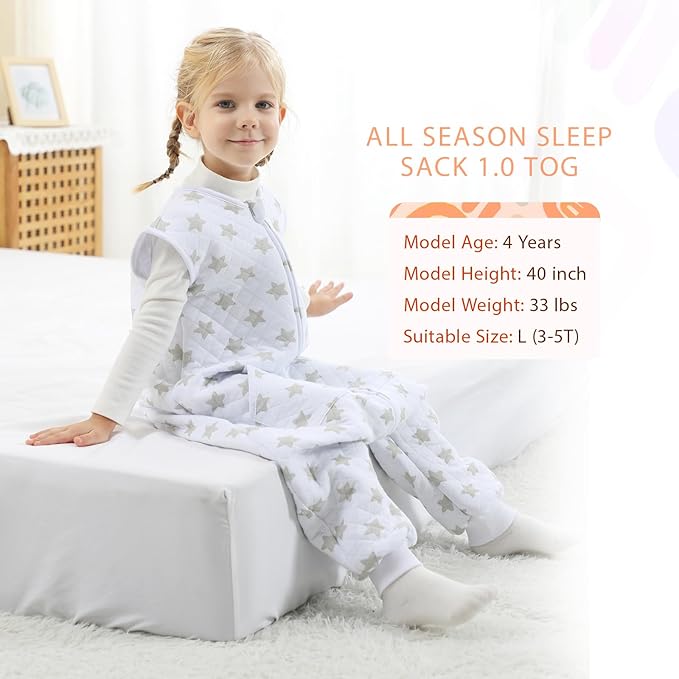 Baby Toddler Sleep Sack with Feet 2.5 TOG Winter, Wearable Blanket with Legs, Toddler Sleeping Sack Long Sleeve (Greystar, 12-24 Month)