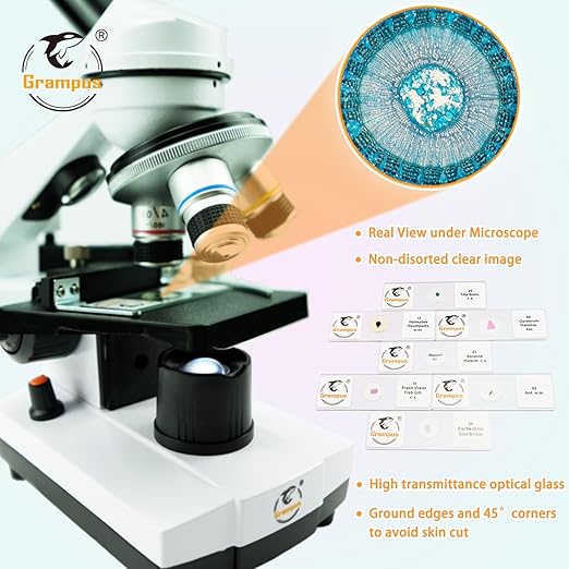 30 Prepared Microscope Slides with Specimens for Kids Students-Animal and Plant Microscope Slide Sets - Random Delivery (Either One Set) for Biological Lab, Children's Science Education, Homeschooling