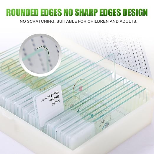 60 Pieces Prepared Microscope Slide Set with Specimens, Plant Animal Cell Science Education Microscope Slides for Bioscience Labs