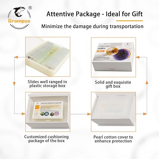 30 Prepared Microscope Slides with Specimens for Kids Students - Animals Plants Insects Microorganism, for Biological Science Lab, Children's Science Education, Homeschool