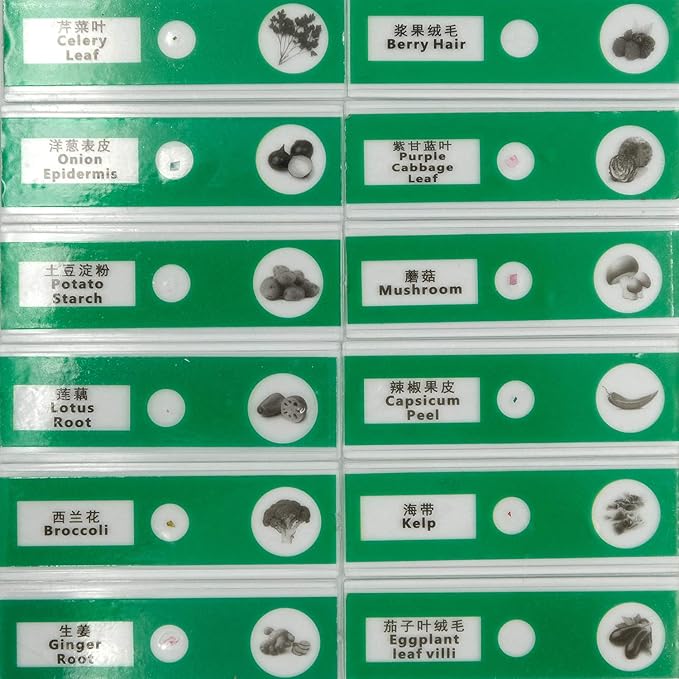 48pcs Prepared Plastic Microscope Slides Biological Specimen with 4 Boxes for Children Student Enlighten Education