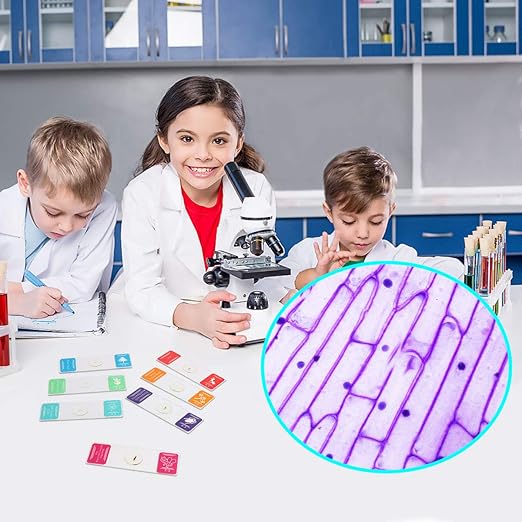 35PCS Prepared Microscope Slides with 7 Types Specimens, Insect/Plant Glass Sample Slide for Kids Adults Family Preschool Education Scientific Enlightenment