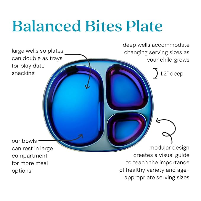 Ahimsa Stainless Steel Kids Plates - Divided Toddler Plates, Pediatrician Designed, Non Toxic Toddler Plate, BPA Free & Dishwasher Safe (Blue Single)