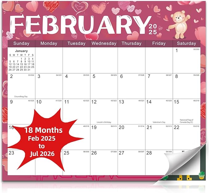 2025-2026 Magnetic Fridge Calendar 18 Monthly Magnetic Calendar for Refrigerator 2025-2026 Wall Calendar Planner Runs from February 2025 Until July 2026 Easy Organizing Markers Tearable (Festive)