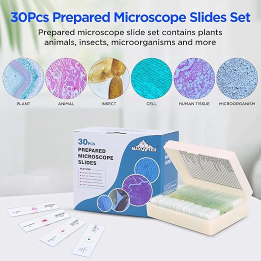 30 Microscope Slides with Specimens, Prepared Microscope Slides Set with Plants Animals Insects for Adults Students Homeschool Basic Biological Science Education