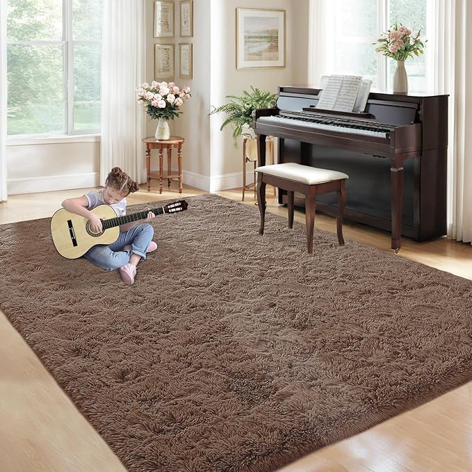 5x8 Area Rug for Living Room: Fluffy Shag Soft Washable Rugs Fuzzy Plush Indoor Carpet for Bedroom Nursery Playroom Dorm Kids Girls Boys Room (Coffee, 5'x8')