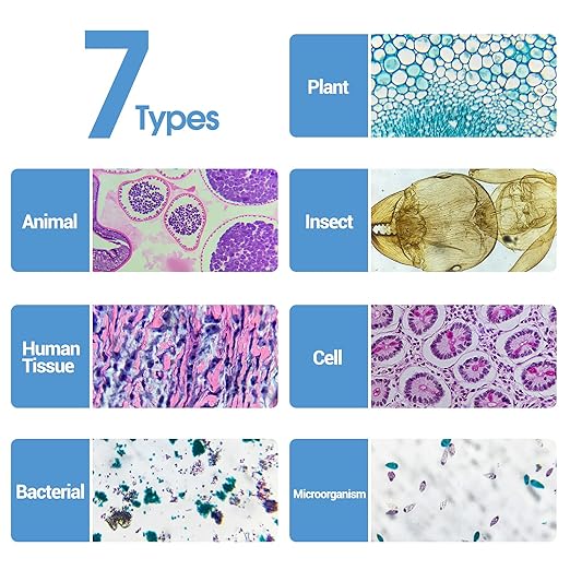 60 Microscope Slides with Specimens for Kids, Prepared Microscope Slides for Kids Microbiology, Prepared Microscope Slides for Adults