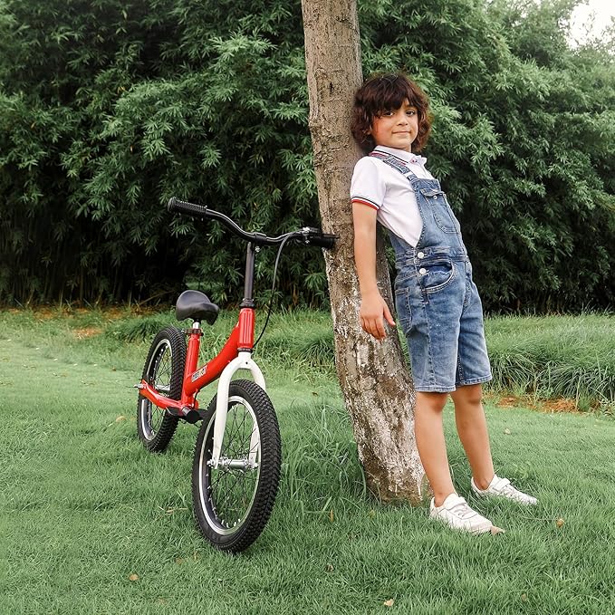 Balance Bike 2 in 1,The Dual Use of a Kids Balance Bike and Toddler Bike, for 2 3 4 5 6 7 Years Old -12 14 16 Inches with Training Theory, Brake, Pedal