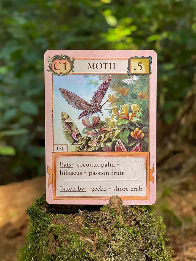 Ecologies: Hidden Habitats - Use Science to Build Food Webs in 7 Biomes - Beautiful Vintage Nature Art for The Classroom or Game Night